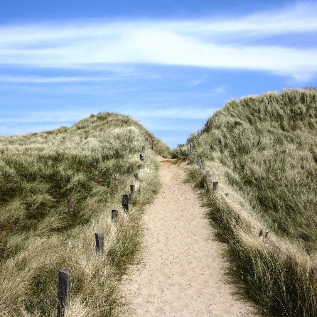 Sylt